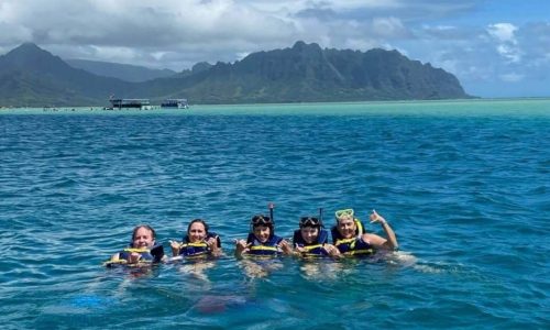 kaneohe-bay-ocean-sports-kbos-blog-header-1-1536×1536-1 kaneohe-bay-ocean-sports-kbos-blog-header-1-1536x1536-1